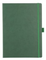Записная книжка Freenote Big, в линейку, зеленая